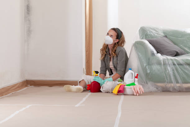 Reliable Mold Remediation contractor in Keansburg, NJ by Cheap Mold Removal